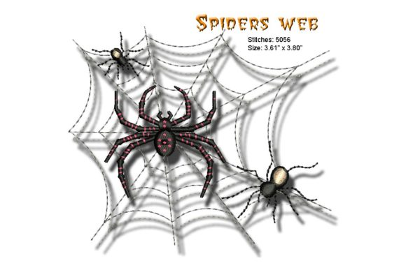 Spiders Web